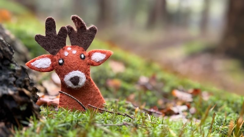 Enchanted Fauna