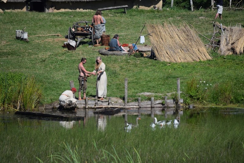 Viking Saga